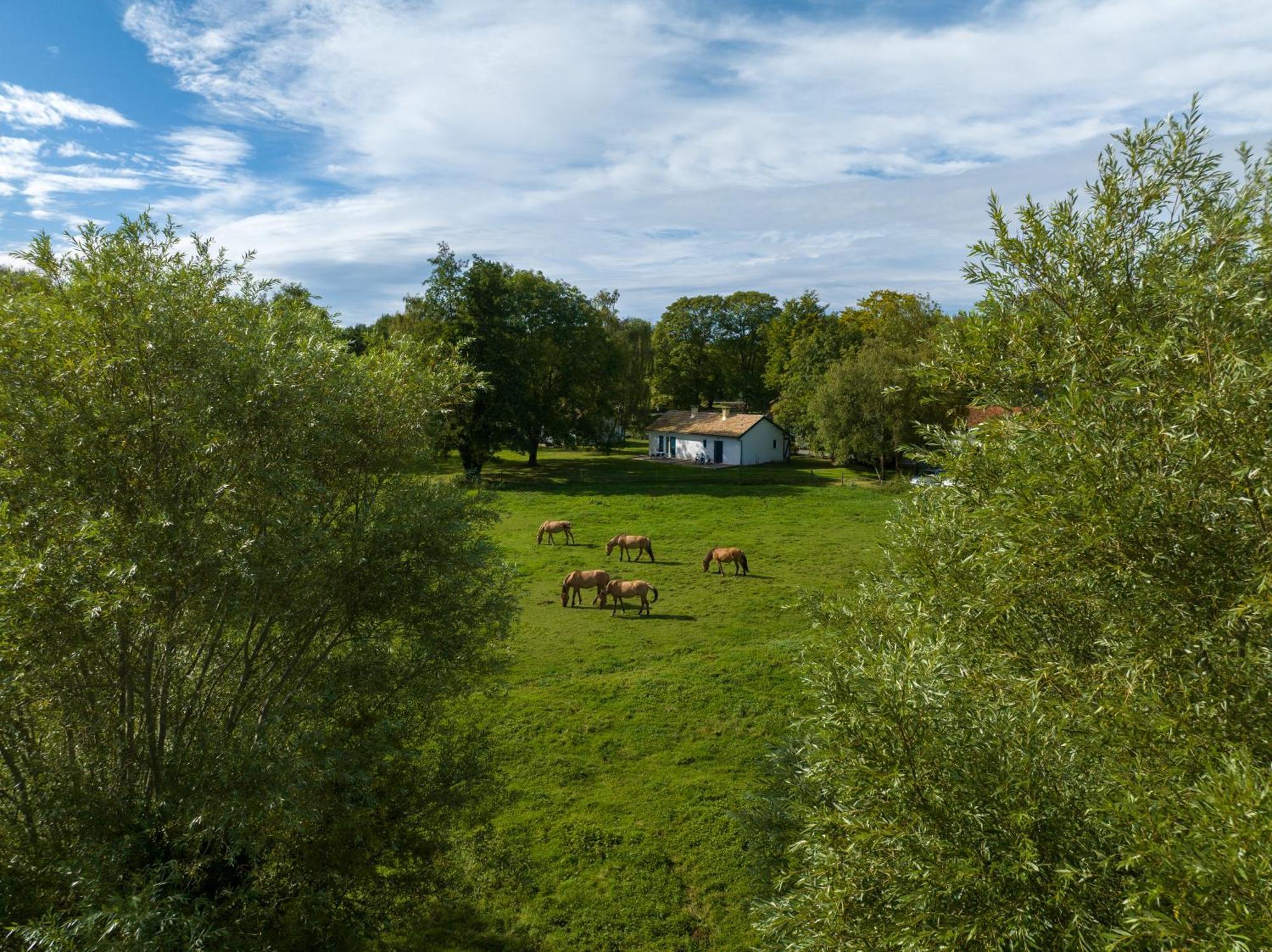 Hotel Et Cottages Domaine Du Marquenterre Saint-Quentin-en-Tourmont Exterior foto